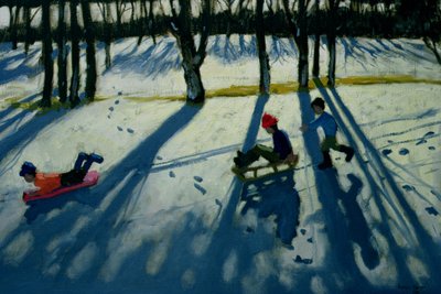 Ragazzi che slittano, Allestree Park, Derby da Andrew Macara
